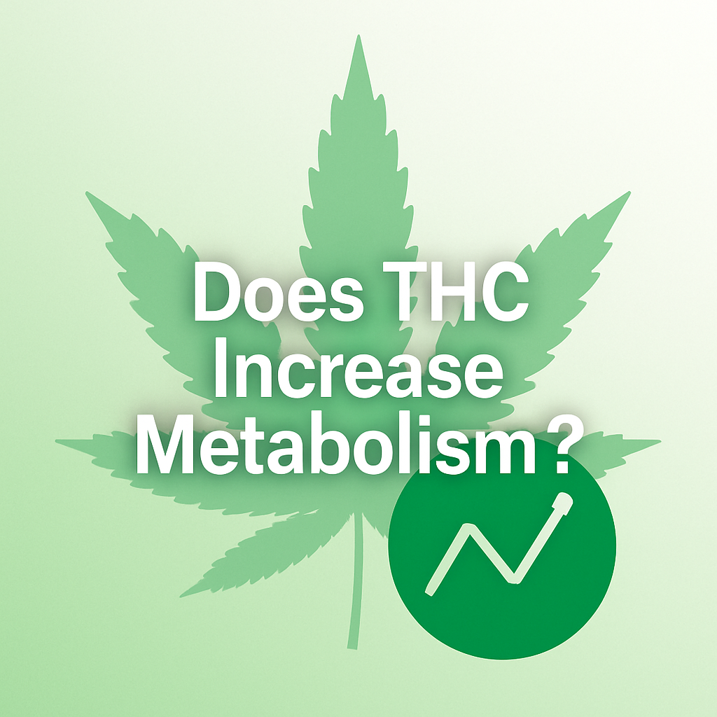 Does THC Increase Metabolism?