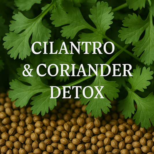 Cilantro & Coriander Detox Tea Benefits
