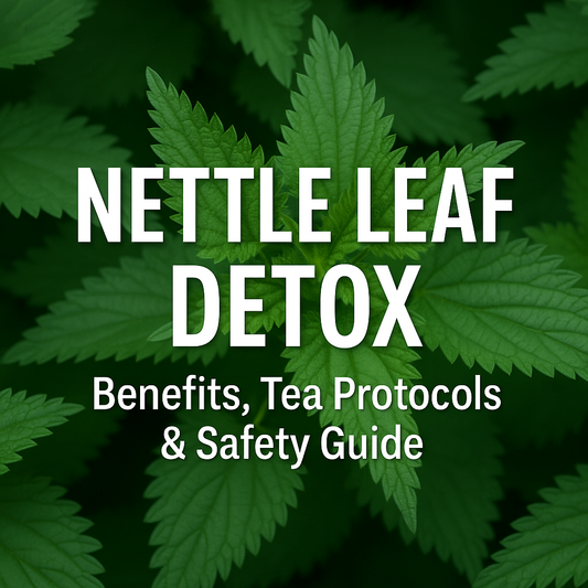 Nettle Leaf Detox: Benefits, Tea Recipe & Safety Guide