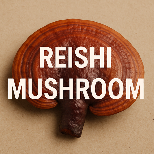 Reishi Mushroom Tea: Benefits, Brewing Tips & Detox Insights