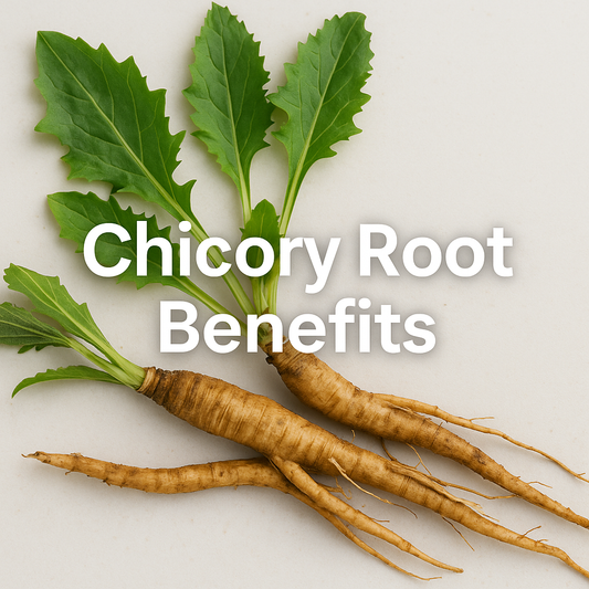 Chicory Root Detox Benefits
