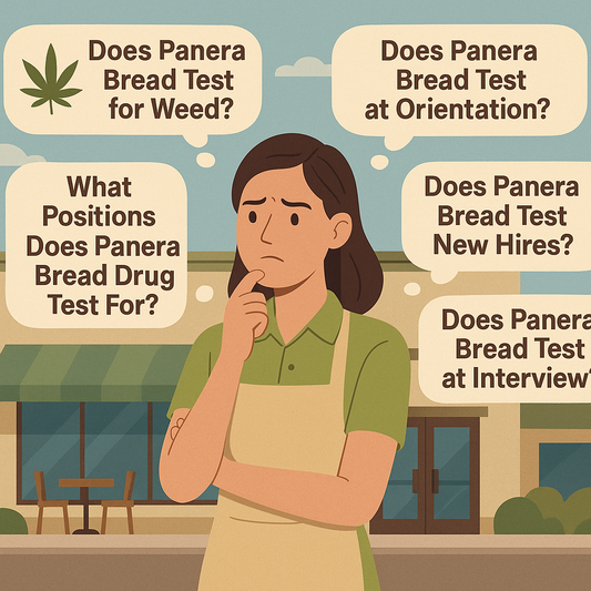 Does Panera Bread Drug Test?: Panera drug-testing explained: when and which roles are tested, whether Panera Bread tests f…