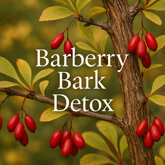 Barberry Bark Detox: Nature’s Bitter Tonic for Deep Cleansing