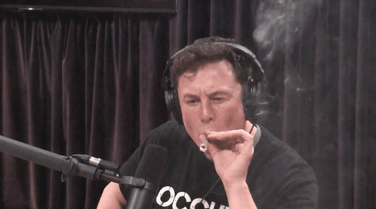 Drug Test Double Standard? Musk Endorses Federal Worker Testing Amid Spending Cuts